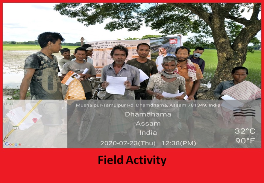 Field Activity