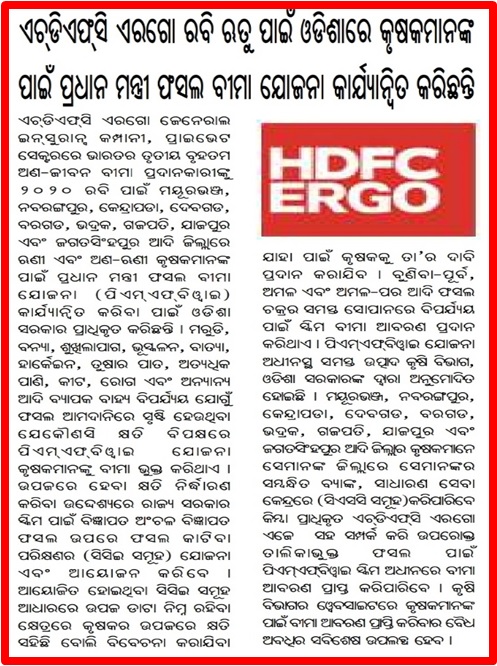 Newspaper