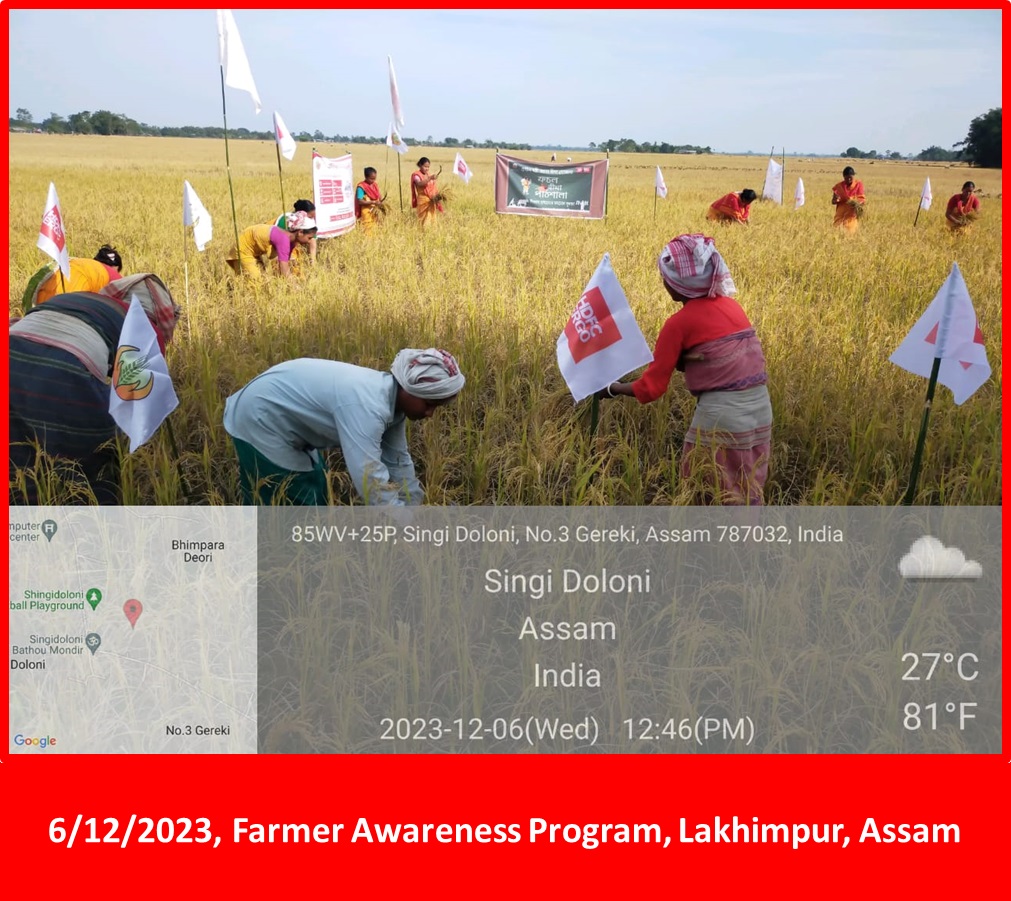 Assam Photos