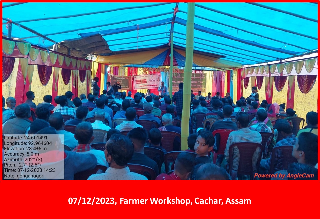 Assam Photos