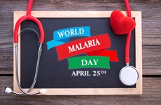વિશ્વ મલેરિયા દિવસ 2024: રોગને દૂર કરવા માટે એક નવો અભિગમ