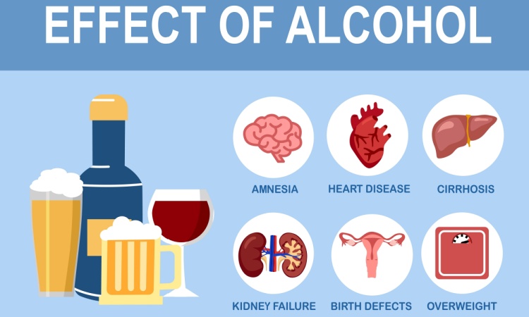 Alcohol’s Effects on the Body