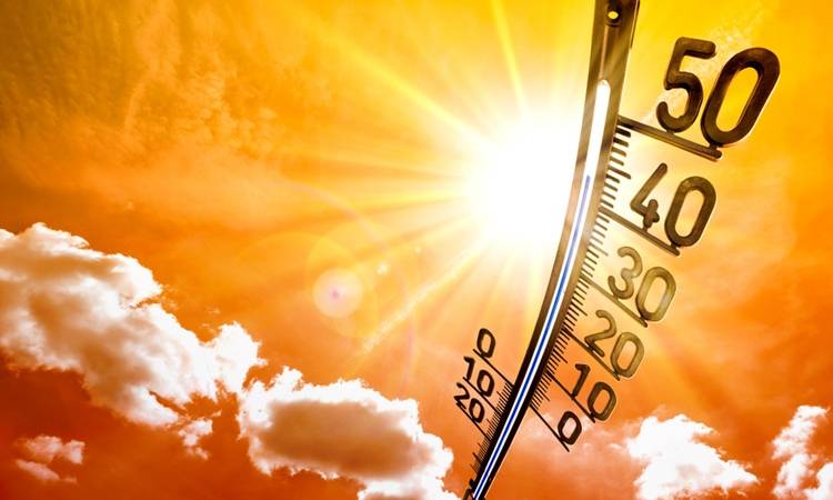 Heatwave Survival Tips - HDFC ERGO Heatwave Survival Tips