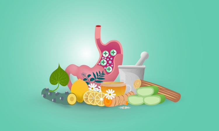 Homeopathy Vs Ayurveda Homeopathy Vs Ayurveda