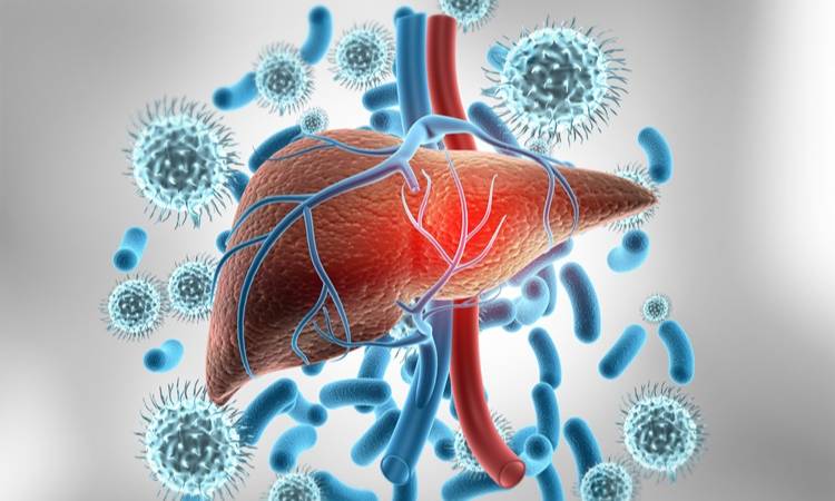 How Can We Prevent Hepatitis How Can We Prevent Hepatitis