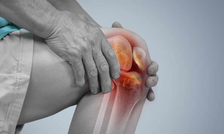 How Do I Know If My Neck Pain is Muscular or Spinal How Do I Know If My Neck Pain is Muscular or Spinal