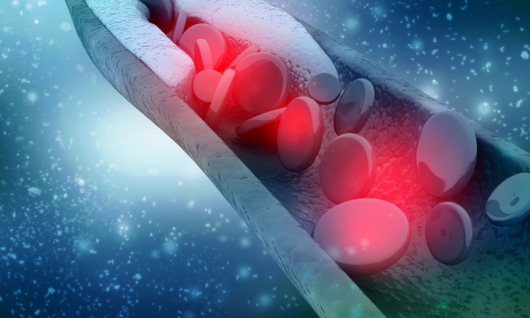 Magnetic Microrobots Offer New Hope for Stroke and Tumour Treatment