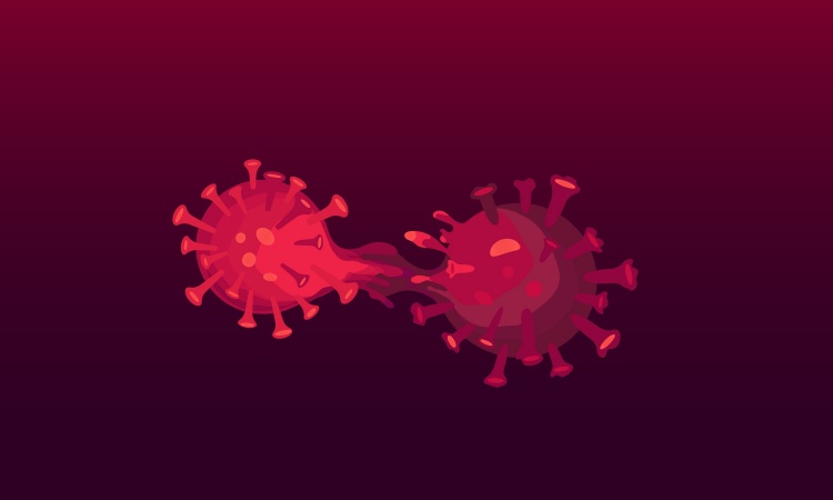 Nimbus – The New COVID-19 Variant: Is This a Cause for Concern?