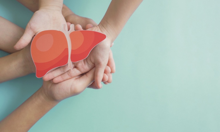 Soda Drinks Found to Increase the Risk of Liver Disease