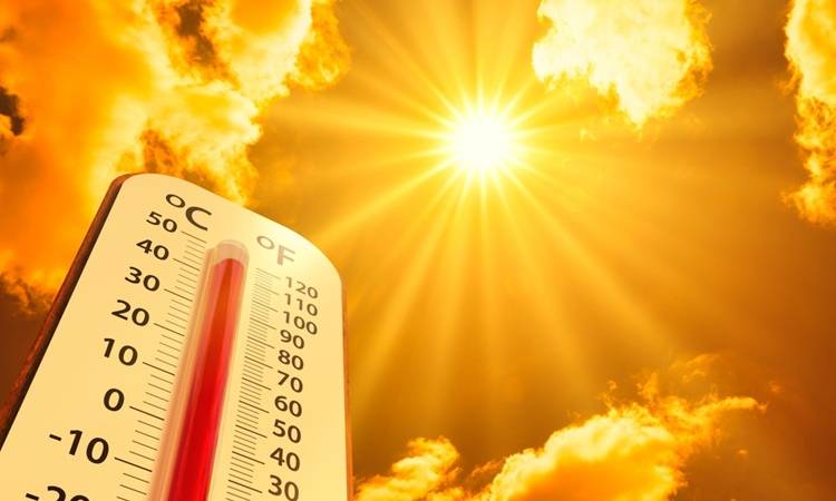 Top 8 Simple Summer Health Tips You Need to Know Simple Summer Health Tips