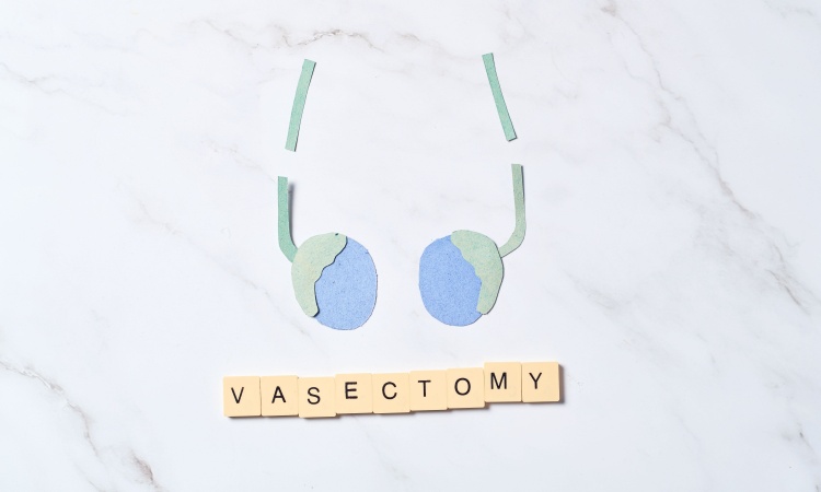 What is a Vasectomy What is a Vasectomy