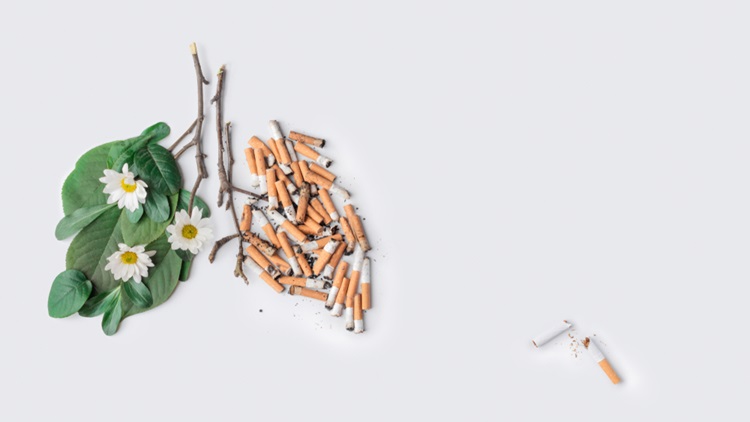 World Anti-tobacco Day 2024 World Anti-tobacco Day 2024