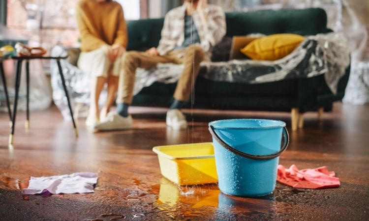 How to Save Water in Summer: Top 10 Easy Tips