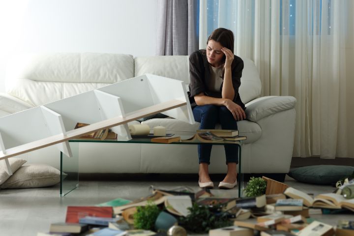 Manage House Furniture Manage House Furniture