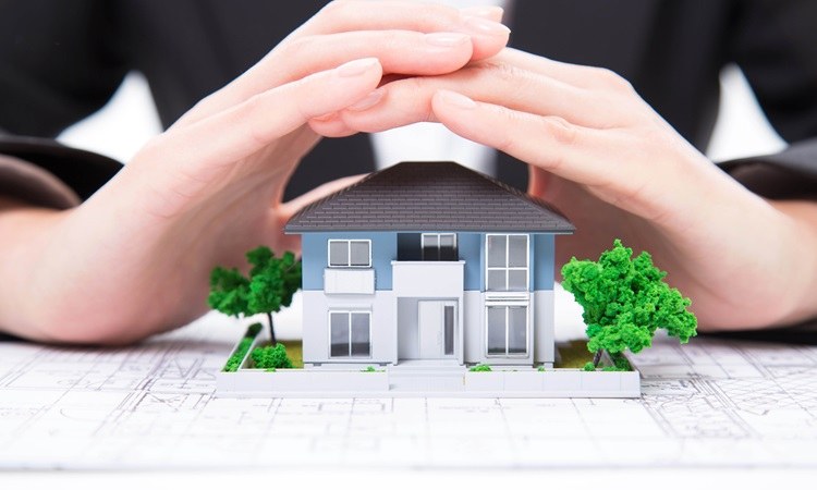 Monsoon Ready Homeowner Monsoon Ready Homeowner
