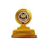 Gold Shield ICAI Awards 2012-13