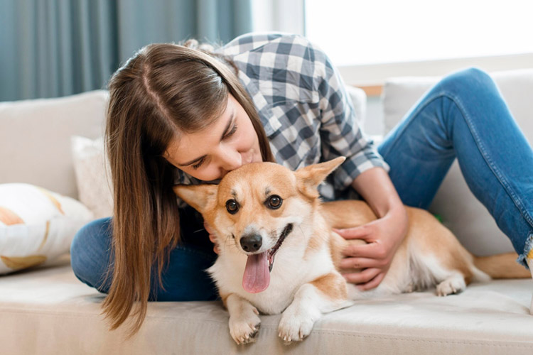 Basic Training Tips for Small Dogs Basic Training Tips for Small Dogs