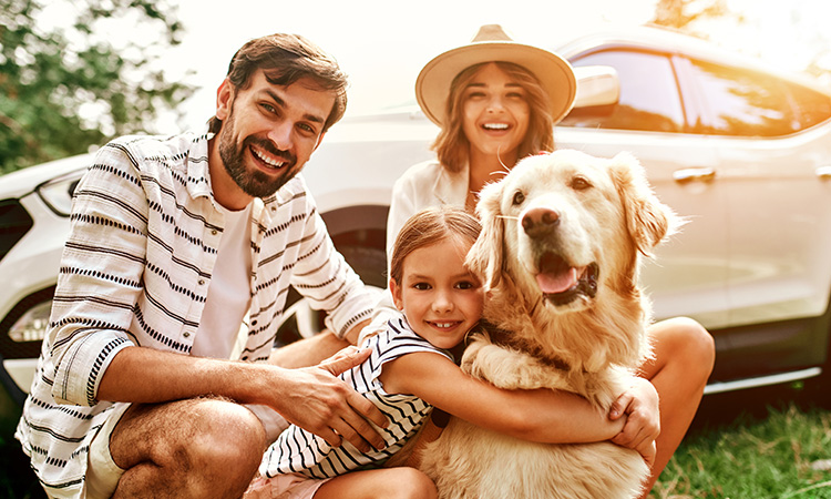 How to Raise Your Dog as a Well-Behaved Pet How to Raise Your Dog as a Well-Behaved Pet