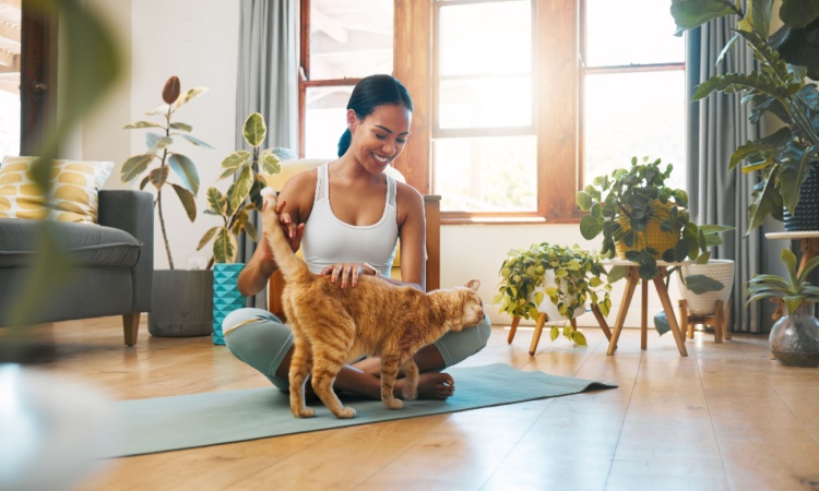 Simple Spring Safety Tips Every Pet Parent Should Know Simple Spring Safety Tips Every Pet Parent Should Know