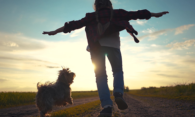 Why Gen Z is Choosing Pets Over Parenthood Why Gen Z is Choosing Pets Over Parenthood