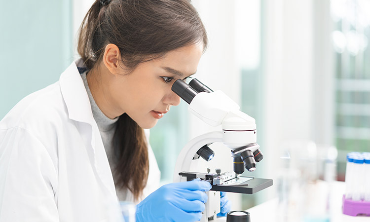 Best Countries to Study Microbiology