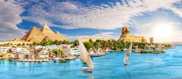 Best Places to Go Swimming with Sharks Best Places to Go Swimming with Sharks