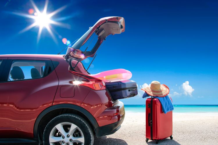 Top 12 Countries that Accept an Indian Driving Licence