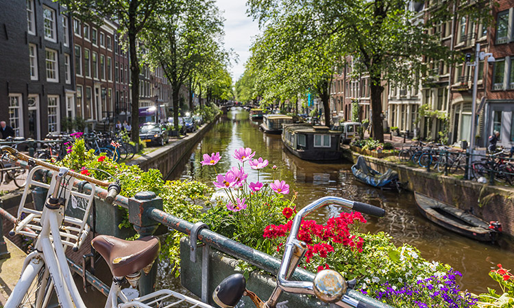 Cycling through Amsterdam: A guide for first-time visitors