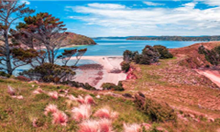 A scenic and nature-friendly holiday destination in New Zealand A scenic and nature-friendly holiday destination in New Zealand