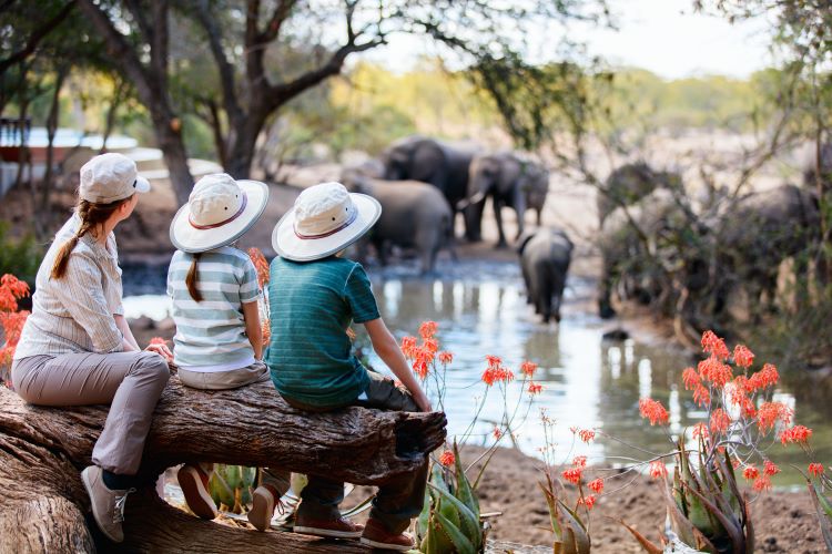 Global Getaways for Unforgettable Family Adventures In 2024