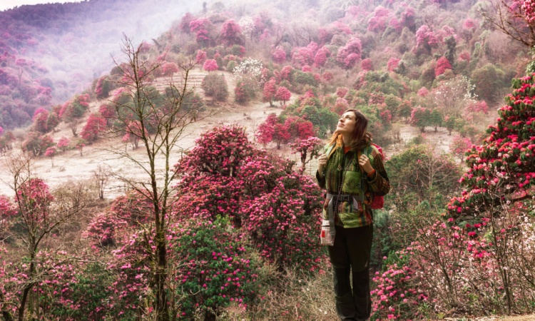 Germany citizenship for Indians