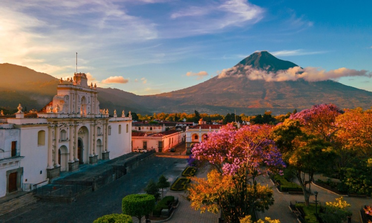 Google Flights Identifies Top Holiday Destination for 2025