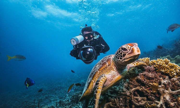 The Great Barrier Reef: A Complete Guide to Exploring Australia's Natural Wonder The Great Barrier Reef: A Complete Guide to Exploring Australia's Natural Wonder