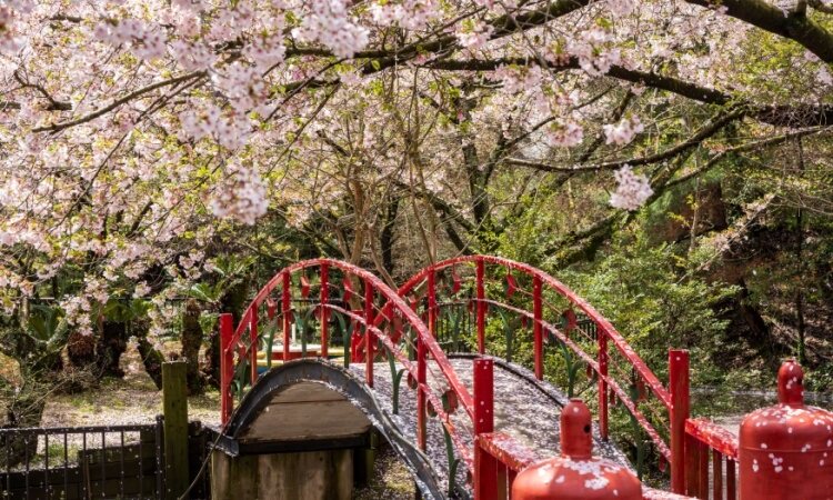 Travel Insurance for Pilgrimages