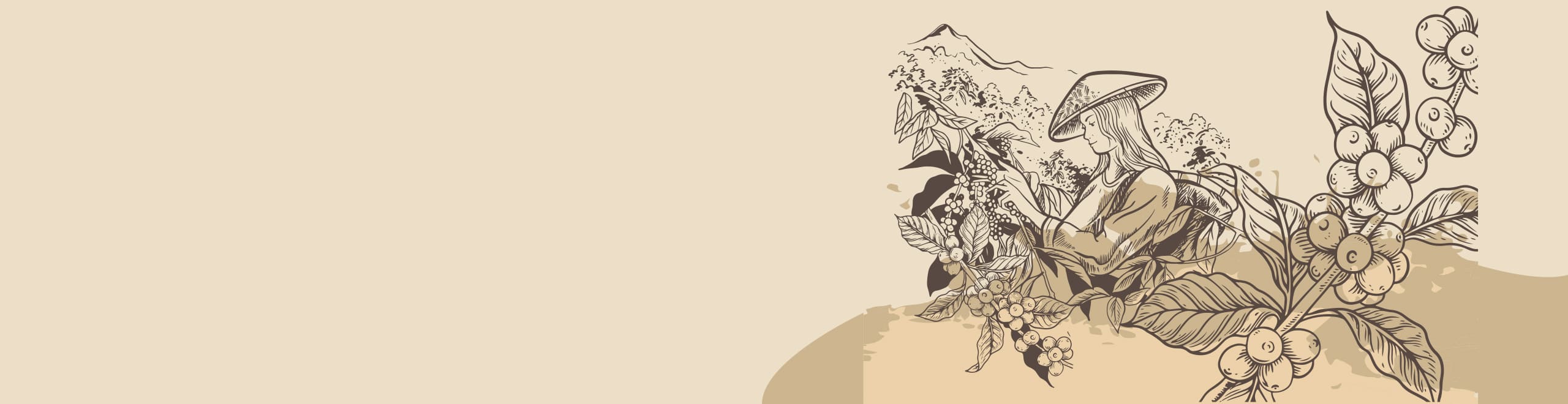 Coffee Trails: Exploring Vietnam’s Unique Coffee Culture