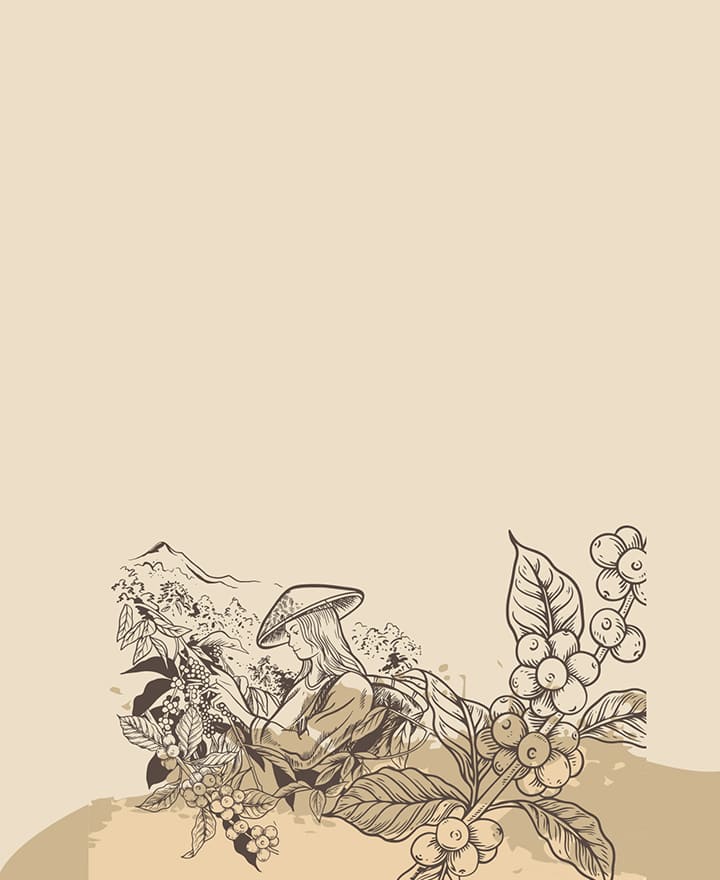 Coffee Trails: Exploring Vietnam’s Unique Coffee Culture