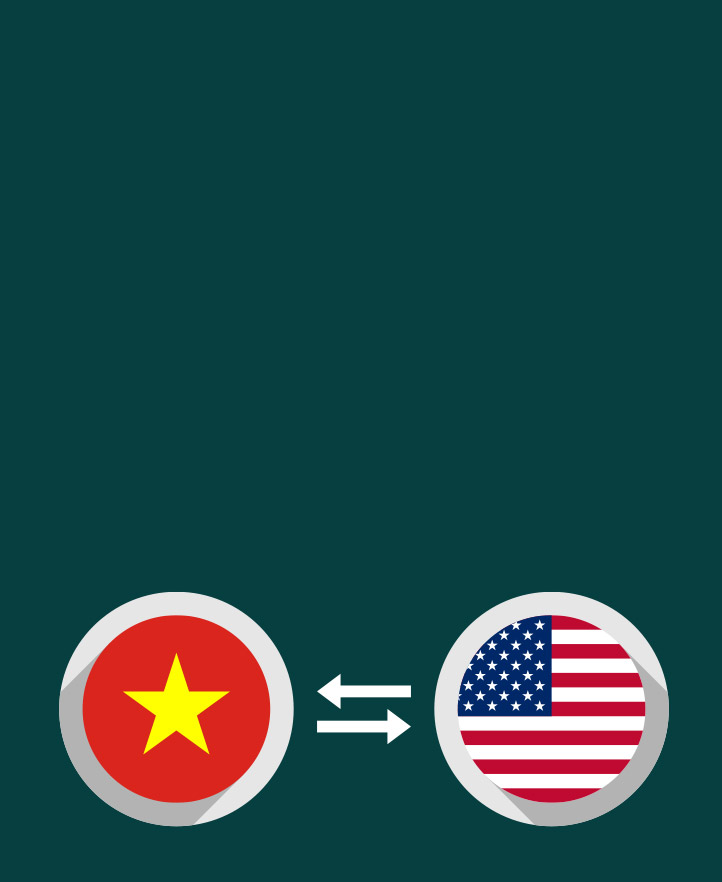 Dollar to VND: Explained