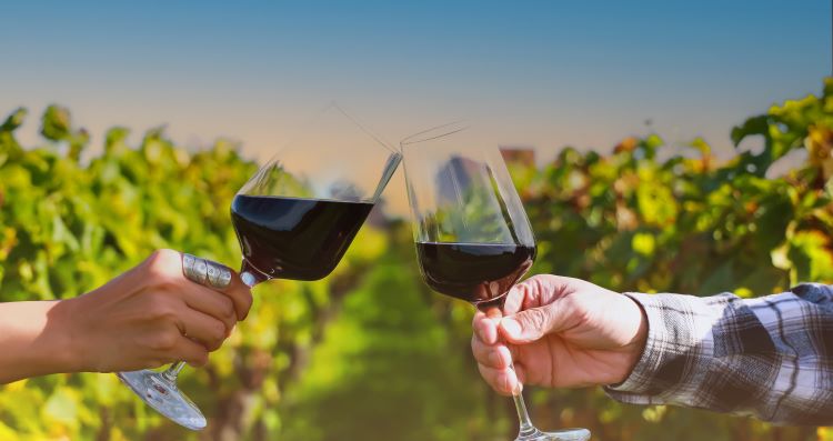World's Best Vineyards World's Best Vineyards