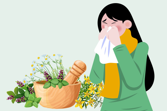 Best Herbs For Good Health - 10 Herbs For Keeping Cold At Bay