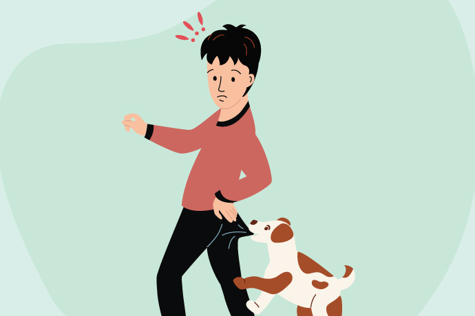 What To Do If You Are Bitten By A Rabid Animal? 