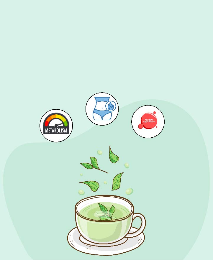 Does Green Tea Help in Losing Weight?