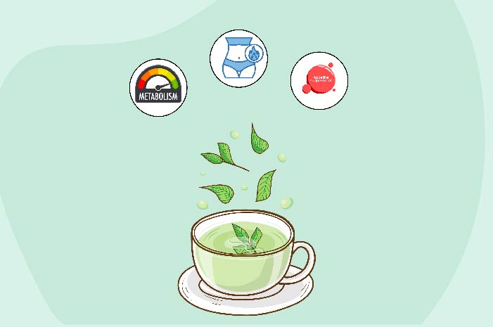 How Green Tea Can Help You Lose Weight?