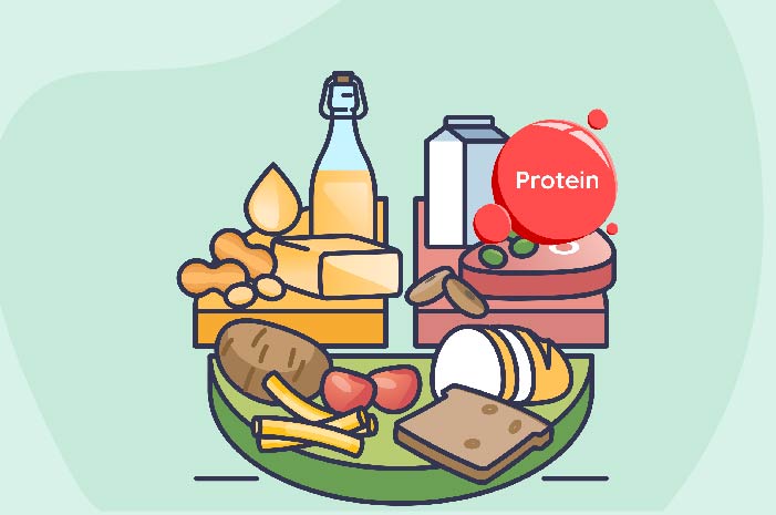 Vegan Foods for a High-Protein Diet