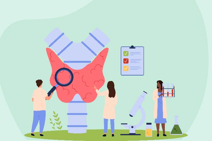 Guidelines on How to Read Your Thyroid Report 