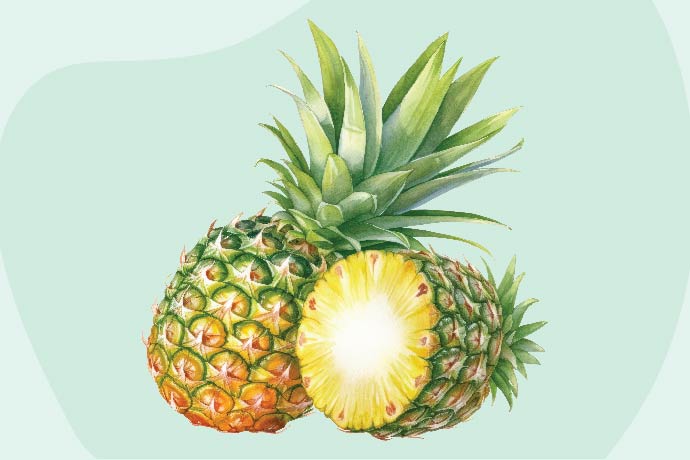  Does Pineapple help in losing weight?