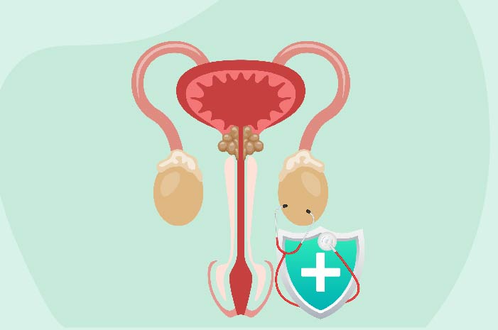 Can prostate cancer be cured?
                            