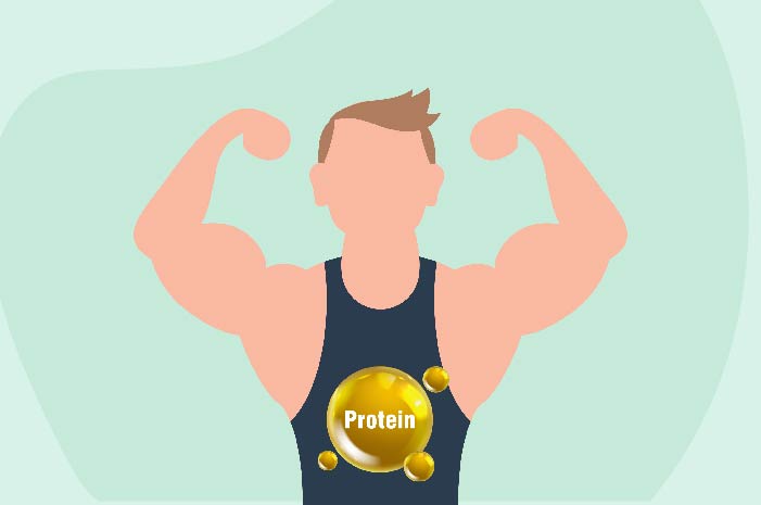How much protein do you need to build muscle?