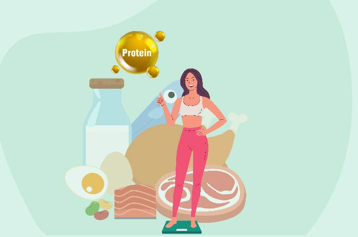 Does Protein Help Lose Weight?