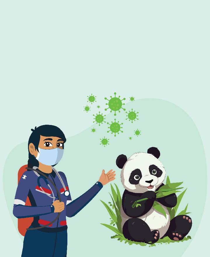 Understanding PANDAS Syndrome